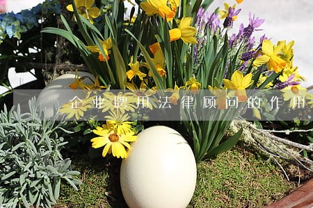 企业聘用法律顾问的作用 企业聘用法律顾问的作用