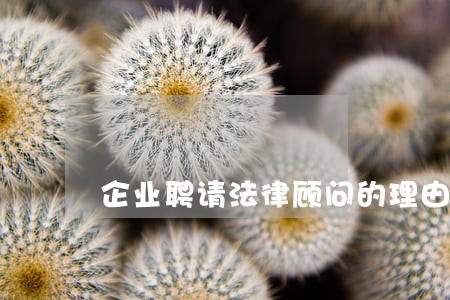 企业聘请法律顾问的理由 企业聘请法律顾问的理由