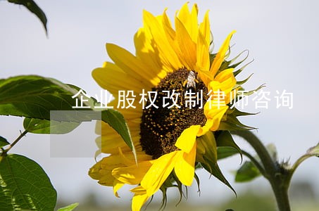 企业股权改制律师咨询 企业股权改制律师咨询