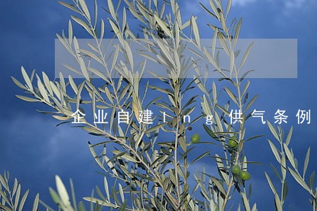 企业自建lng供气条例 企业自建lng供气条例