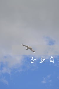 企业自行清算的法律意见书 企业自行清算的法律意见书