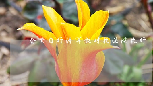 企业自行清算能对抗法院执行 企业自行清算能对抗法院执行