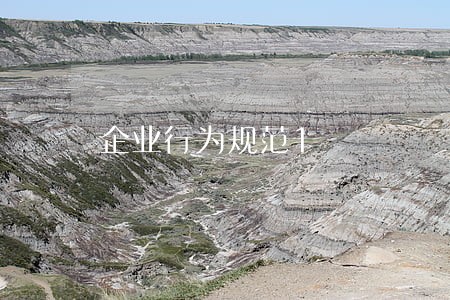 企业行为规范1 企业行为规范1