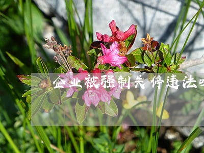 企业被强制关停违法吗 企业被强制关停违法吗