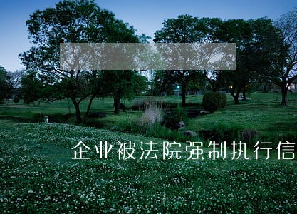 企业被法院强制执行信用卡 企业被法院强制执行信用卡