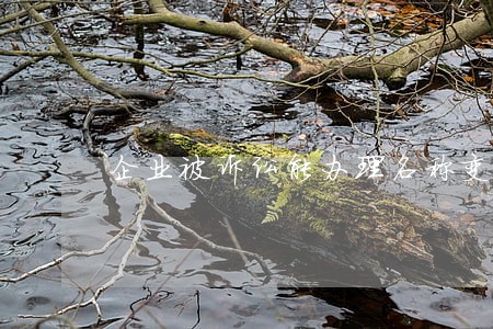企业被诉讼能办理名称变更吗