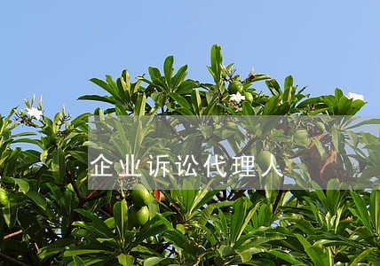 企业诉讼代理人 企业诉讼代理人