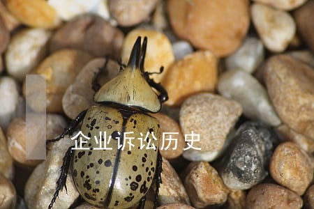 企业诉讼历史