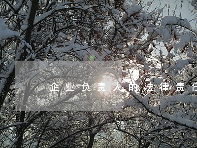 企业负责人的法律责任知识 企业负责人的法律责任知识