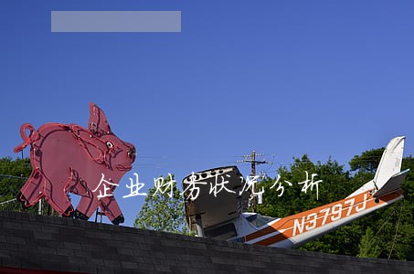 企业财务状况分析