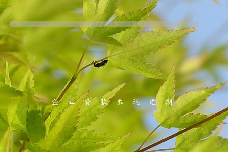 企业贷款出现逾期