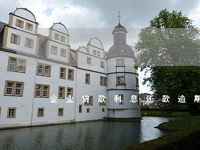 企业贷款利息还款逾期 企业贷款利息还款逾期