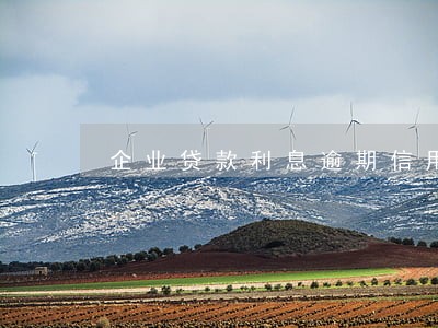 企业贷款利息逾期信用 企业贷款利息逾期信用