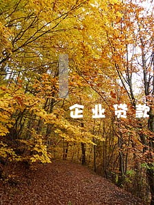 企业贷款利息逾期归还 企业贷款利息逾期归还