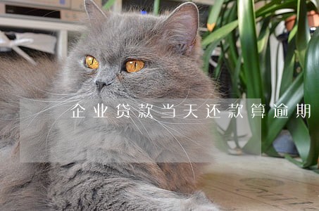 企业贷款当天还款算逾期吗 企业贷款当天还款算逾期吗