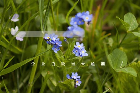 企业贷款当天逾期 企业贷款当天逾期