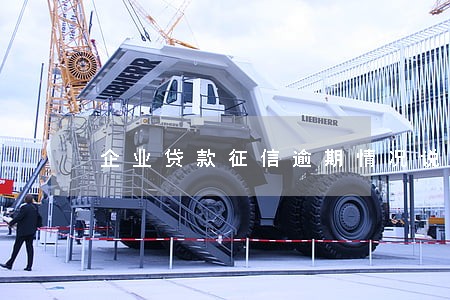 企业贷款征信逾期情况说明 企业贷款征信逾期情况说明
