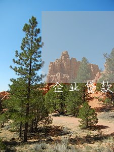 企业贷款有逾期宽限期么 企业贷款有逾期宽限期么