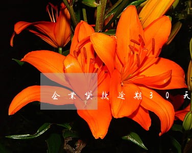 企业贷款逾期30天 企业贷款逾期30天