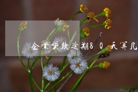 企业贷款逾期80天算几次