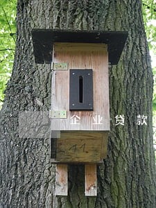 企业贷款逾期一周担保人征信 企业贷款逾期一周担保人征信