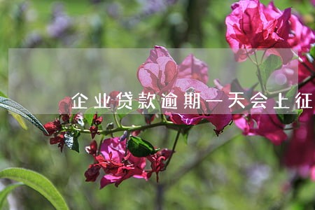 企业贷款逾期一天会上征信吗 企业贷款逾期一天会上征信吗