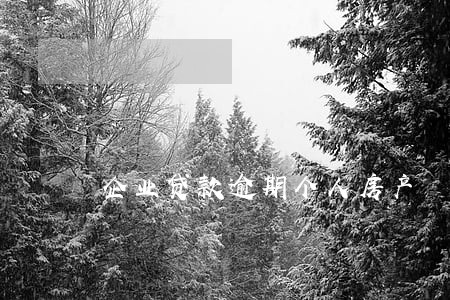 企业贷款逾期个人房产 企业贷款逾期个人房产