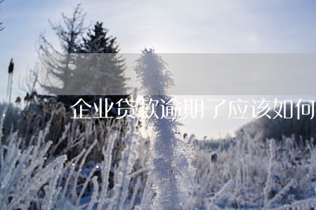 企业贷款逾期了应该如何解决