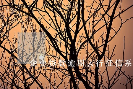 企业贷款逾期人行征信系统 企业贷款逾期人行征信系统