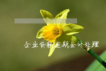 企业贷款逾期会计处理 企业贷款逾期会计处理