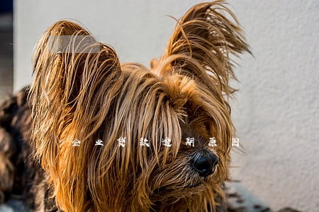 企业贷款逾期原因 企业贷款逾期原因