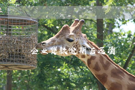 企业贷款逾期后还清 企业贷款逾期后还清