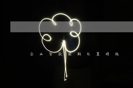 企业贷款逾期处置措施 企业贷款逾期处置措施