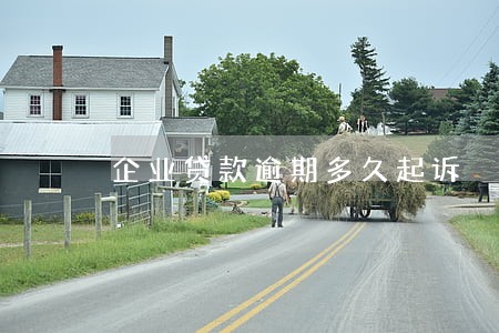 企业贷款逾期多久起诉 企业贷款逾期多久起诉