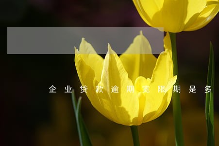 企业贷款逾期宽限期是多少天 企业贷款逾期宽限期是多少天