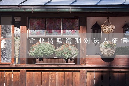 企业贷款逾期对法人征信 企业贷款逾期对法人征信