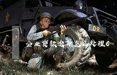 企业贷款逾期怎么处理6 企业贷款逾期怎么处理6