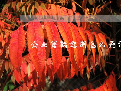 企业贷款逾期怎么查询 企业贷款逾期怎么查询
