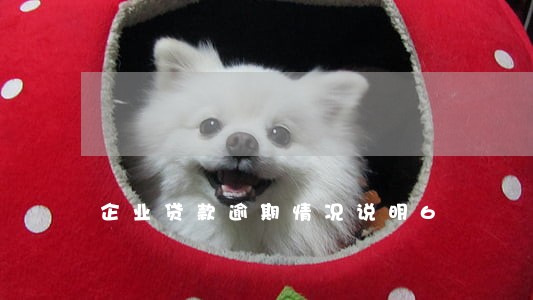 企业贷款逾期情况说明6 企业贷款逾期情况说明6