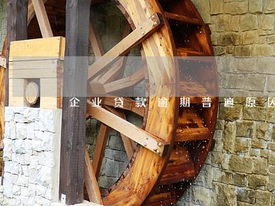企业贷款逾期普遍原因 企业贷款逾期普遍原因