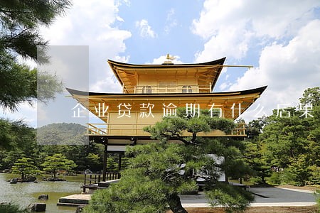 企业贷款逾期有什么后果