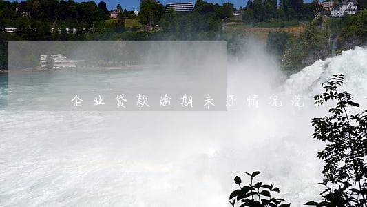 企业贷款逾期未还情况说明 企业贷款逾期未还情况说明