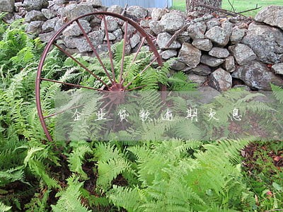 企业贷款逾期欠息 企业贷款逾期欠息