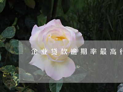 企业贷款逾期率最高行业 企业贷款逾期率最高行业