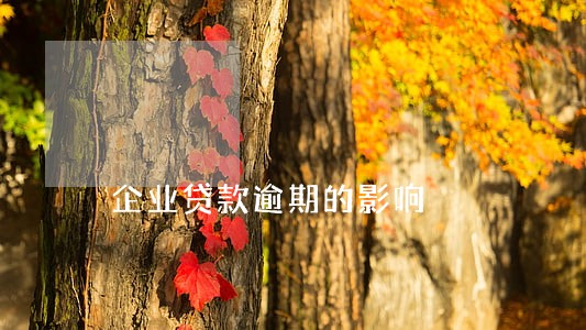 企业贷款逾期的影响 企业贷款逾期的影响