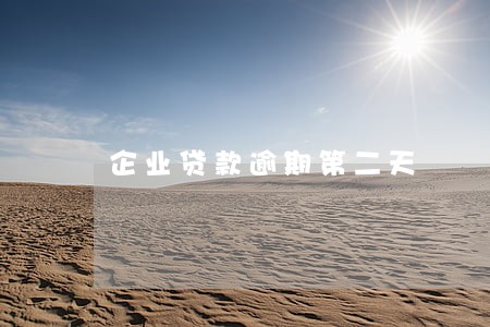 企业贷款逾期第二天 企业贷款逾期第二天