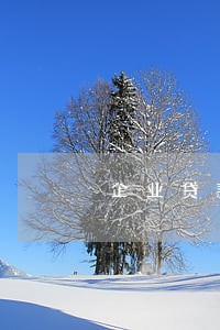企业贷款逾期请求协调 企业贷款逾期请求协调