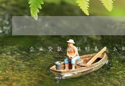 企业贷款逾期财务怎么做 企业贷款逾期财务怎么做