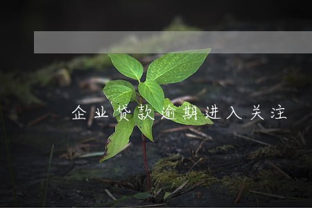 企业贷款逾期进入关注 企业贷款逾期进入关注