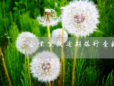 企业贷款逾期银行查封 企业贷款逾期银行查封